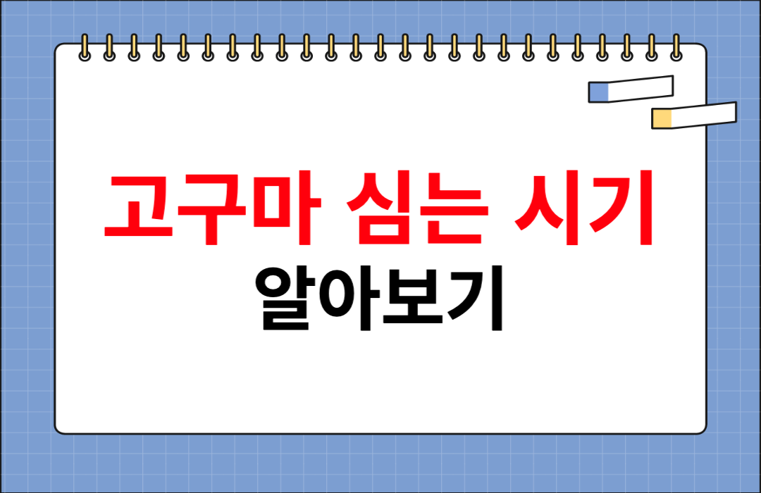 고구마-심는-시기