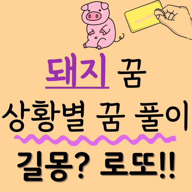 돼지꿈-로또꿈-복권꿈-풀이