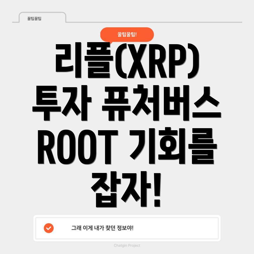 리플(XRP) 투자 기회