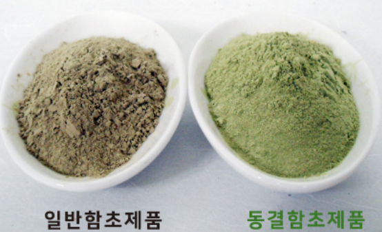 동결건조함초 및 자연건조함초