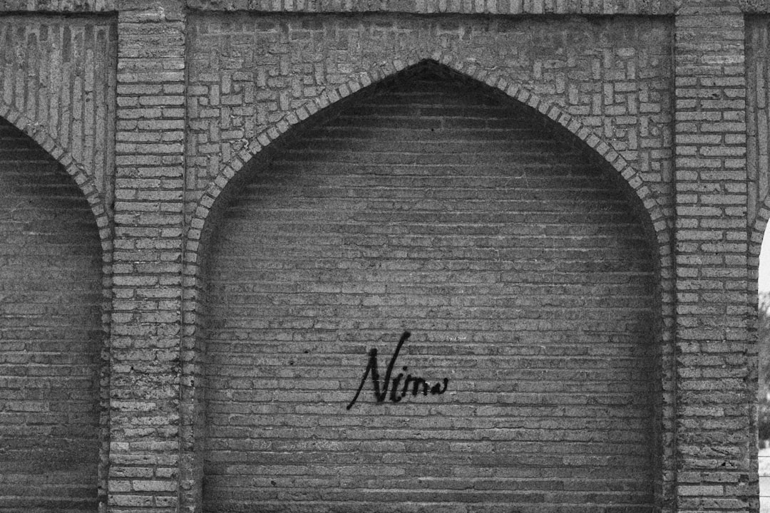 '신조어' (neologism)