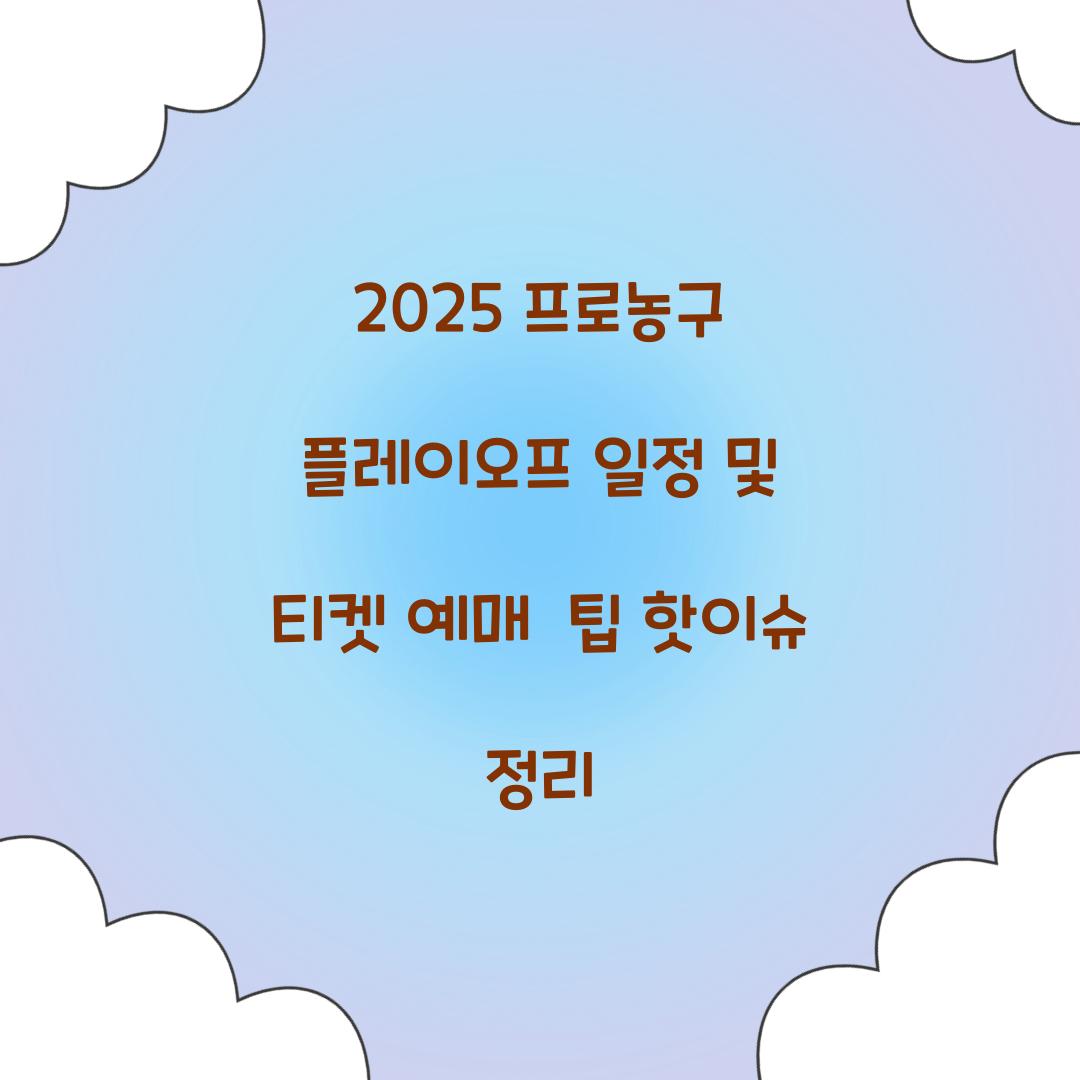 2025 프로농구 플레이오프 일정
