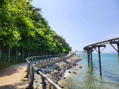 경신일주 무식상 남자에게 좋은 나무,물이 있는 장소