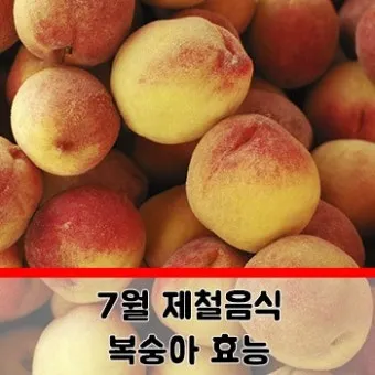 7월 제철 과일 고르는 법과 가장 맛있게 먹는 팁 소개_20