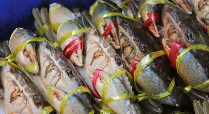 수산시장에 진열된 생선. 수산물 할인 지원과 물가 안정 대책을 상징하는 이미지