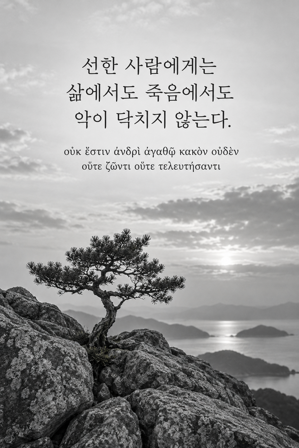 소크라테스 명언 17 &mdash; 선한 사람에게는 삶에서도 죽음에서도 악이 닥치지 않는다. &mdash; 거친 바위틈에 뿌리내린 작은 나무
