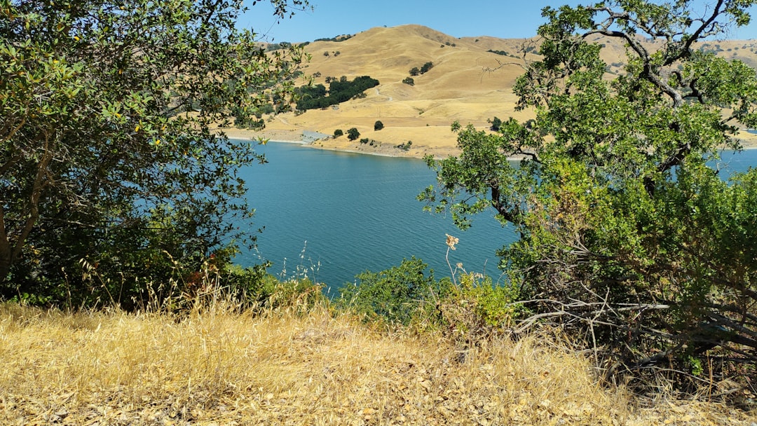Yangoj Reservoir