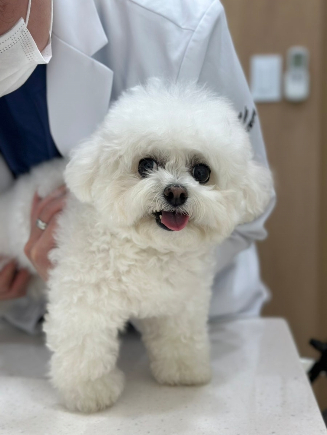 진료를 받는 중인 미료