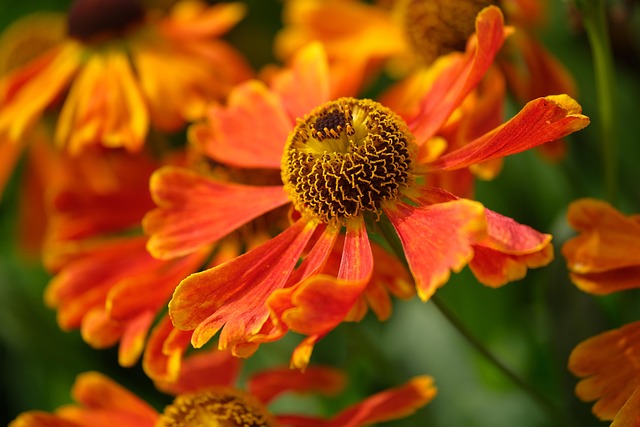 카카오뱅크 비상금대출 3