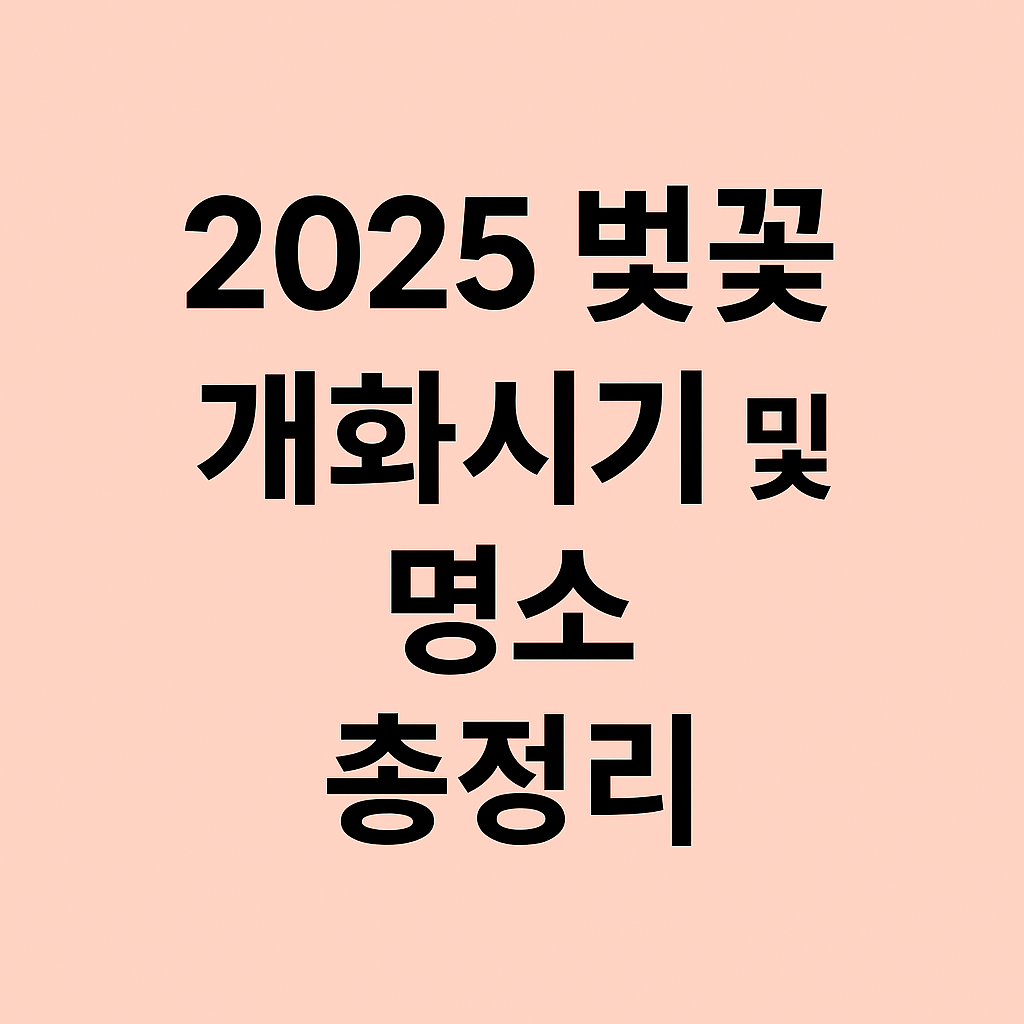 2025년 전국 벚꽃 개화 시기와 명소 정보를 안내하는 이미지