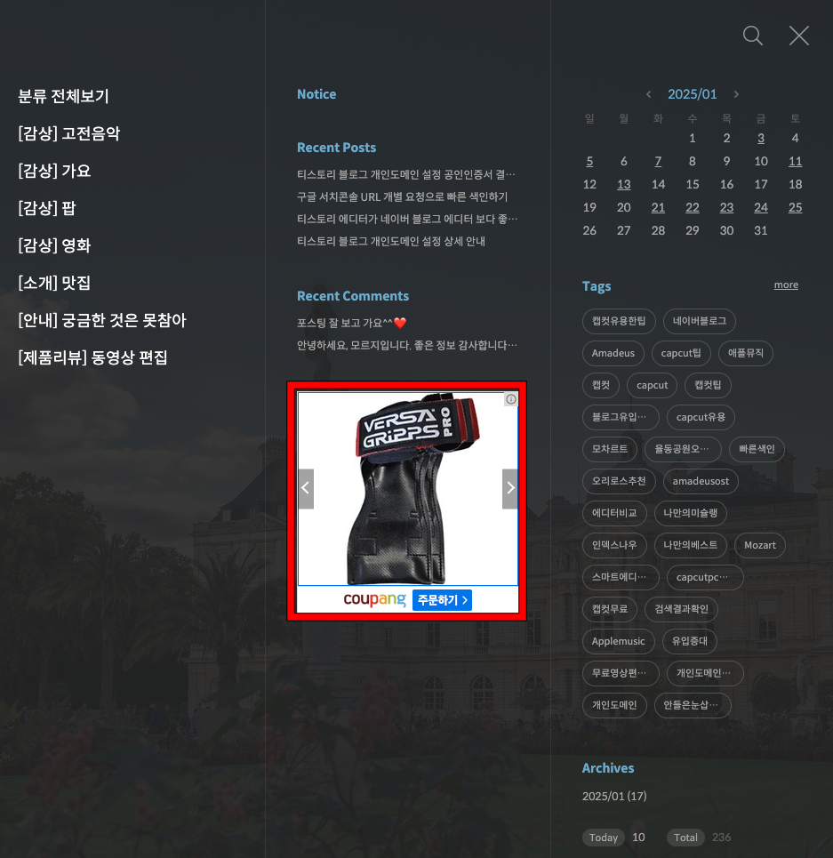 티스토리 쿠팡파트너스 반영