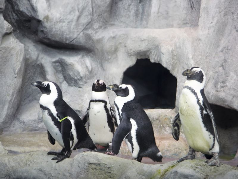 아쿠아플라넷 광교