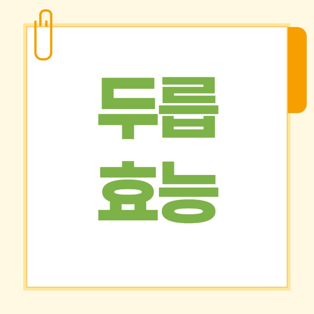두릅 효능 총정리 봄 입맛 살리고 건강 챙기는 자연 보약