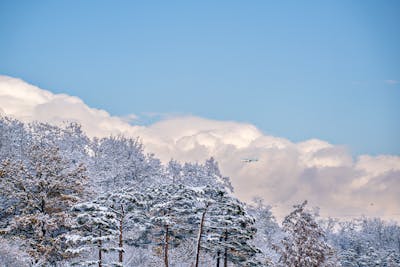 2025년 설날 기차표 예매 일정