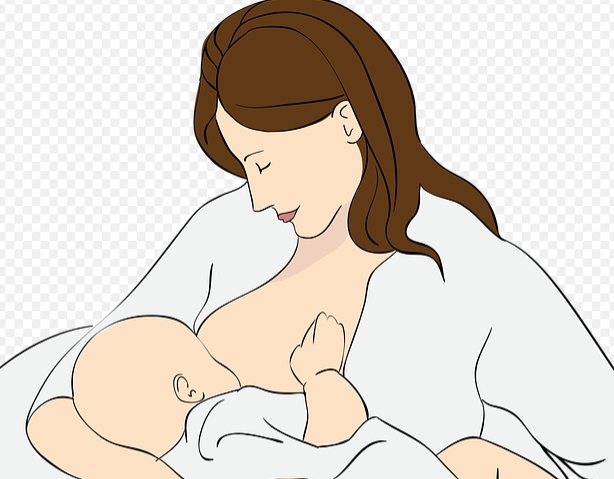 초유에 다량 함유된 락토페린을 연상하기 위해 삽입한 모유수유 이미지입니다.