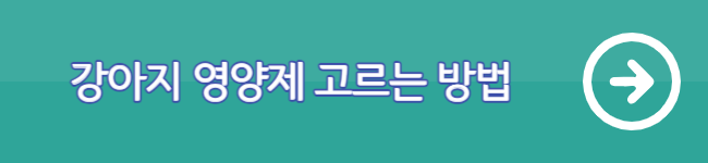 강아지 영양제 고르는 방법