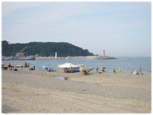 나정고운모래해변
