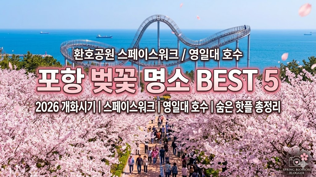 포항 벚꽃 명소