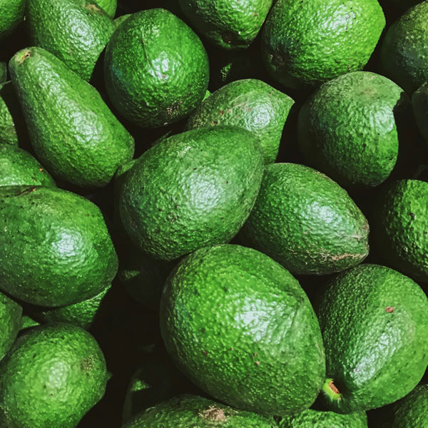 아보카도 효능 완벽 정리