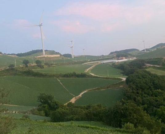 전국수선화명소