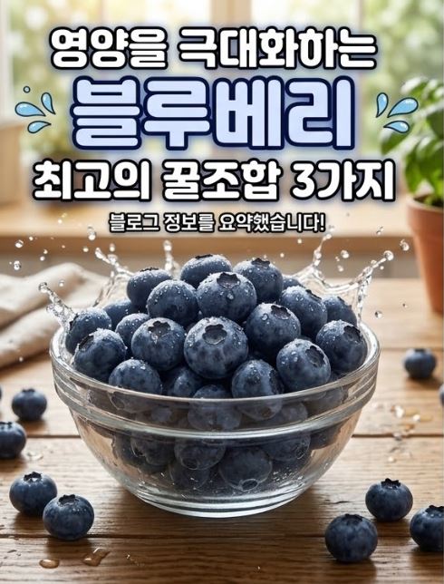 블루베리 씻는법