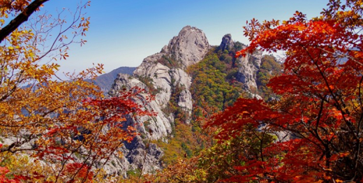 설악산 가을단풍