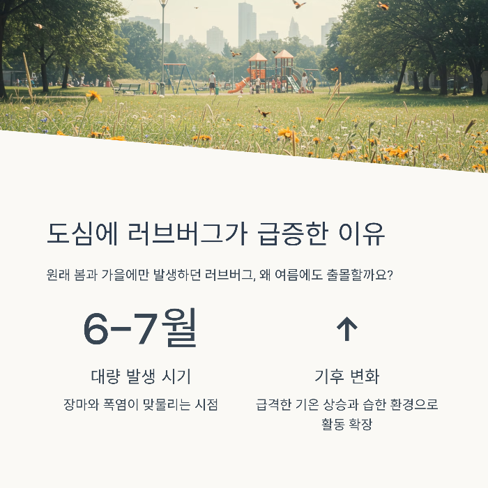 러브버그 떼