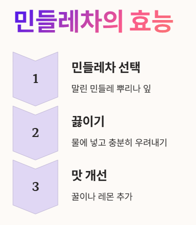 비염에 좋은 차 민들레차