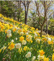 화담숲 예약 할인