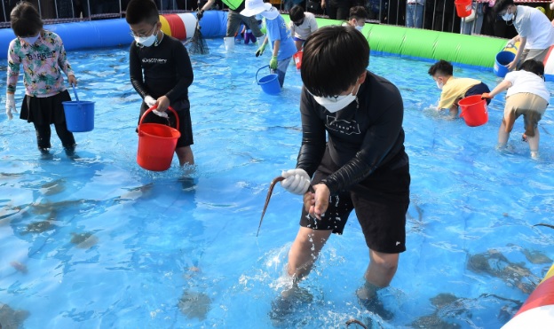 2025 기장멸치축제 대변항 일정 프로그램 교통및 주차안내