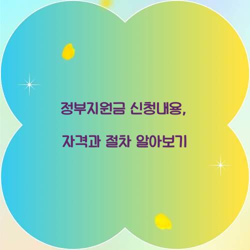 정부지원금 신청내용