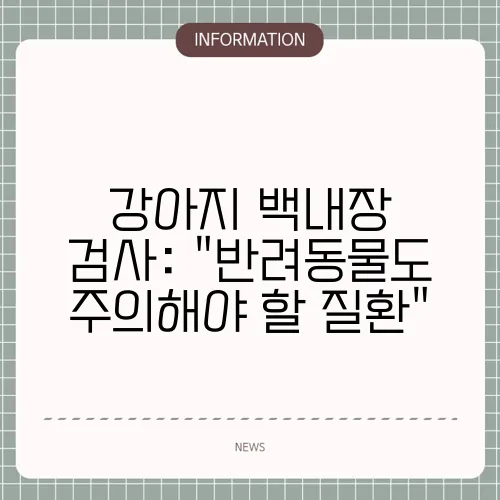 강아지 백내장 검사: