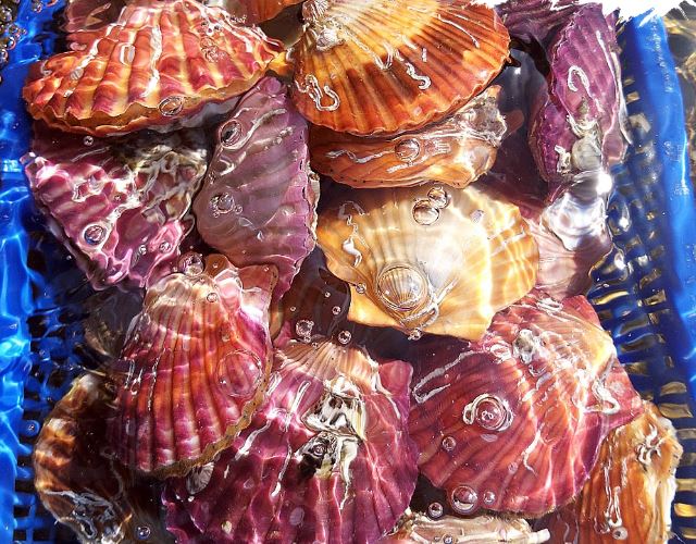 설 선물세트 베스트 추천 TOP10