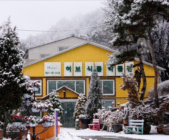 포천 허브 아일랜드