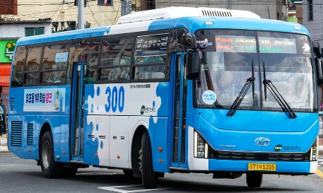 부산 300번 버스