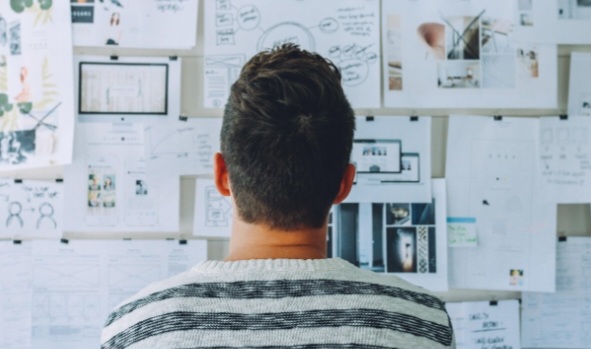 대학생 취업 로드맵 관련 사진