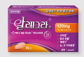 임산부 콧물약 비염약