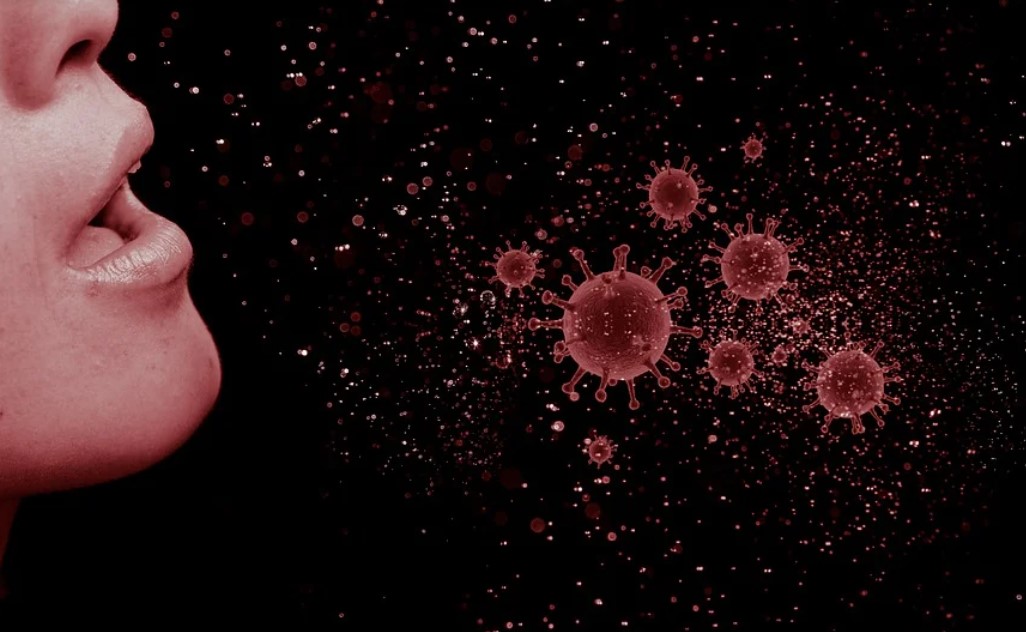 메타뉴모 바이러스 치료방법 메타뉴모 바이러스 예방방법