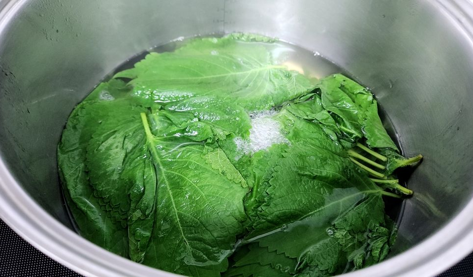 깻잎 데치기