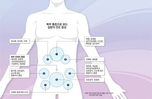 배를 콕콕 찌르는 통증의 8가지 원인 하는법 알아보기로 정리_3