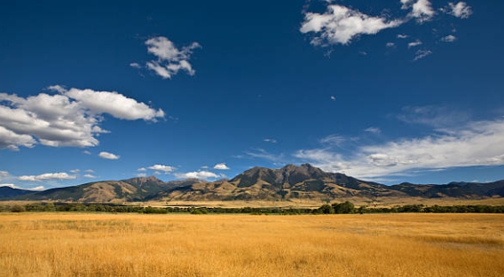 국립공원 야영장 예약