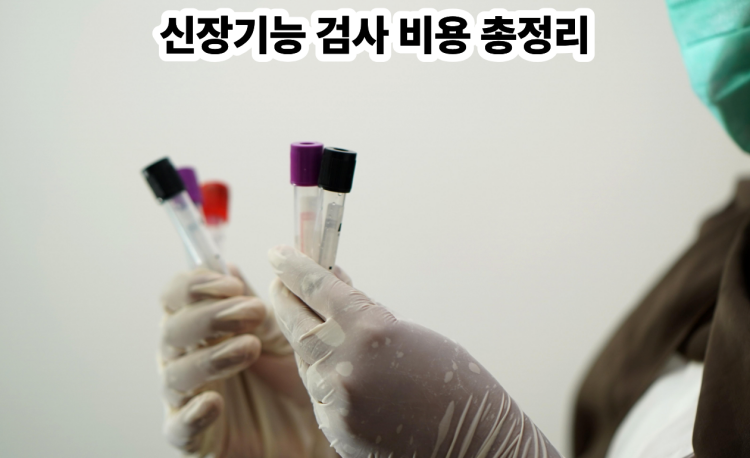 신장기능 검사비용 총정리