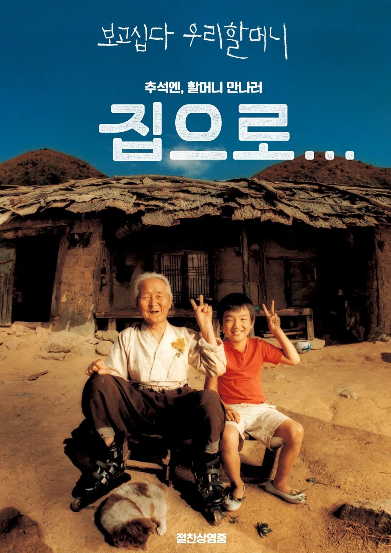 집으로... 포스터