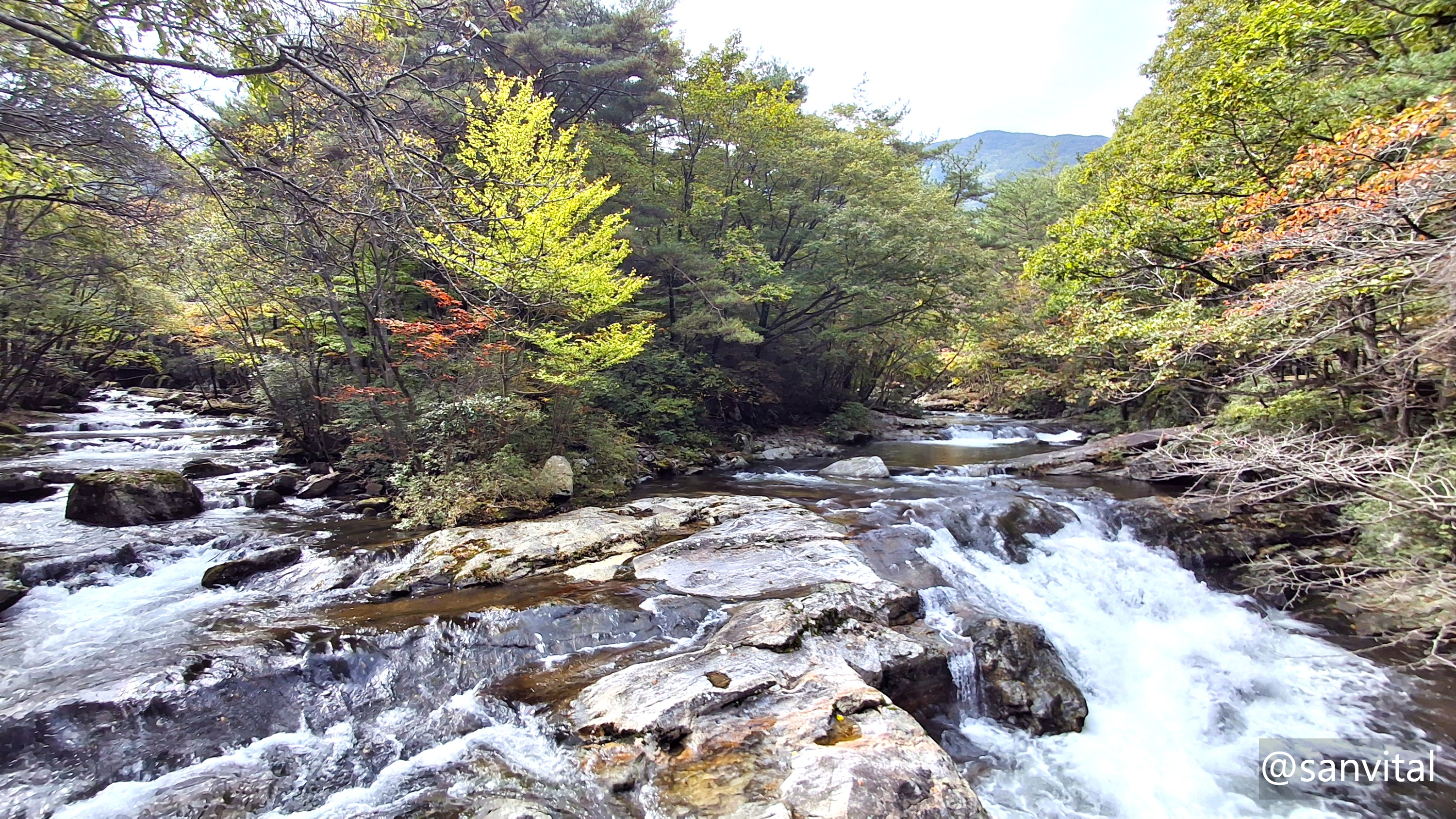 무주 구천동어사길 구월담