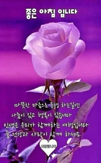 휴일 인사말 예시 모음 이모티콘_19