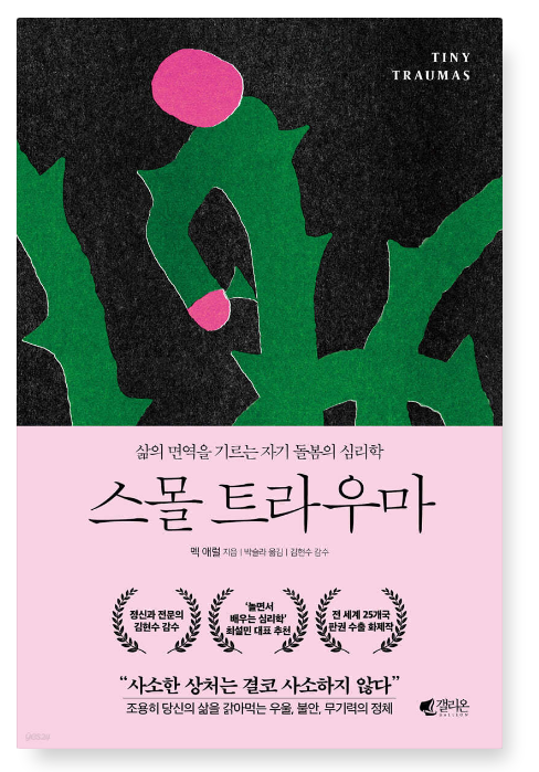 멕 애럴 『스몰 트라우마』