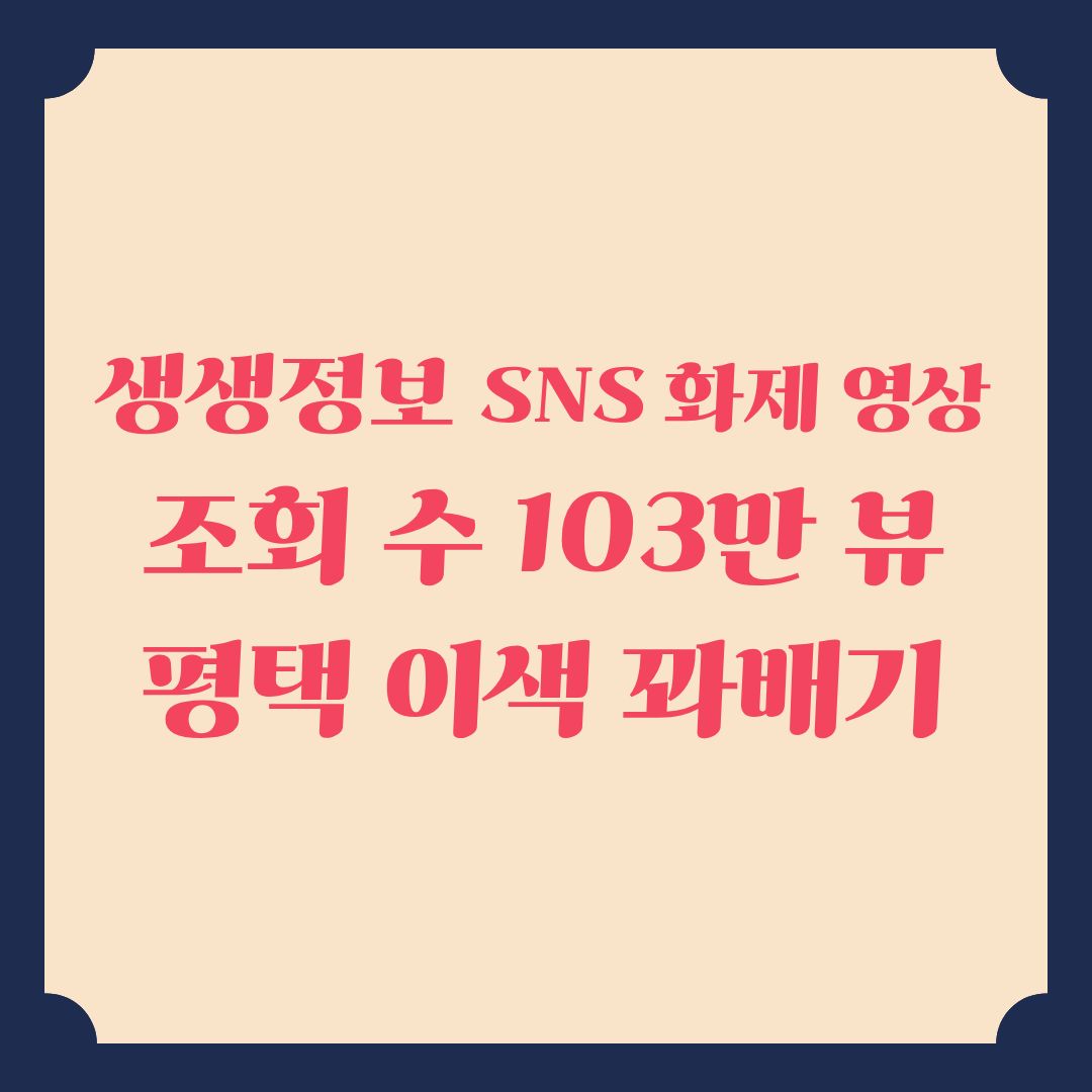 생생정보 SNS 화제 영상 조회 수 103만 뷰 이색꽈배기 정보