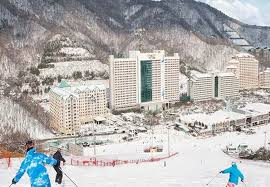 2025 스키장 개장일 완벽 총정리 - 용평부터 지산까지
