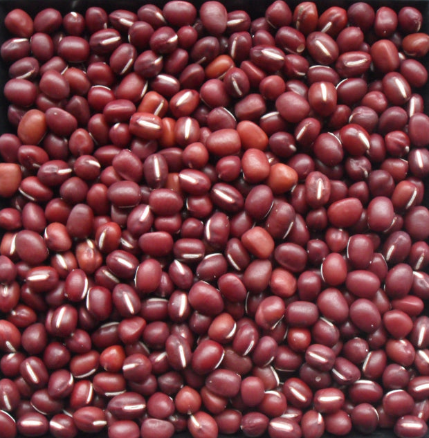 2025년 12월 동지 날짜 뜻 팥죽