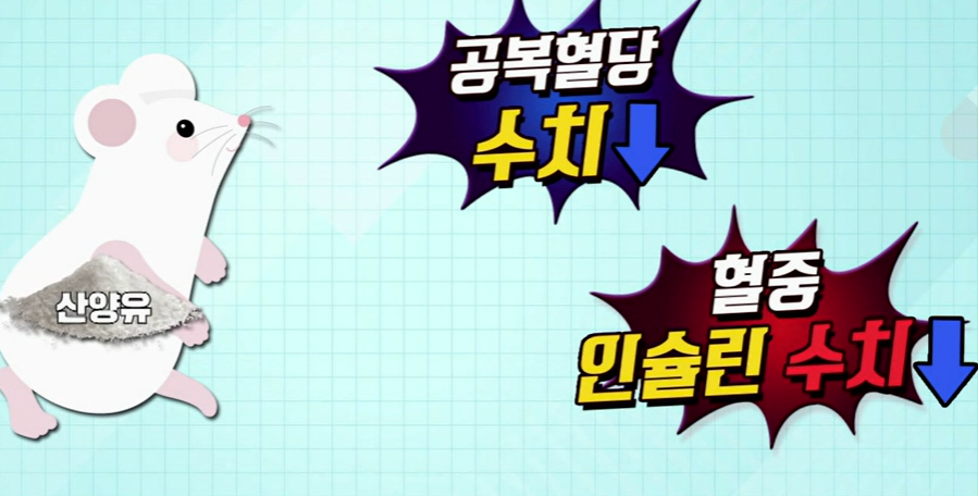 산양유 단백질 효능